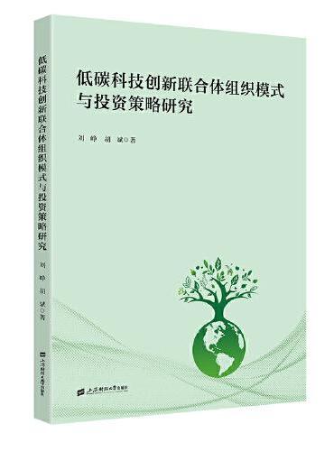 低碳科技创新联合体组织模式与投资策略研究