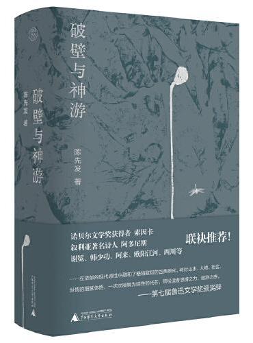 纯粹·破壁与神游
