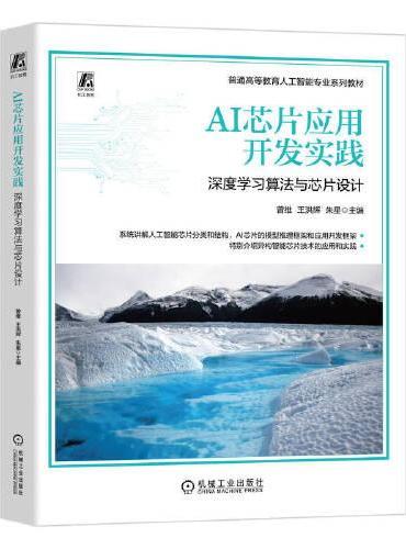 AI芯片应用开发实践：深度学习算法与芯片设计 