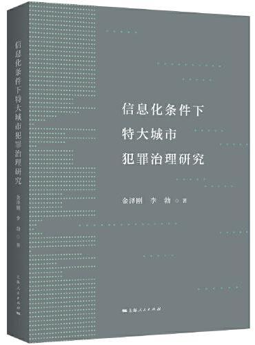 信息化条件下特大城市犯罪治理研究