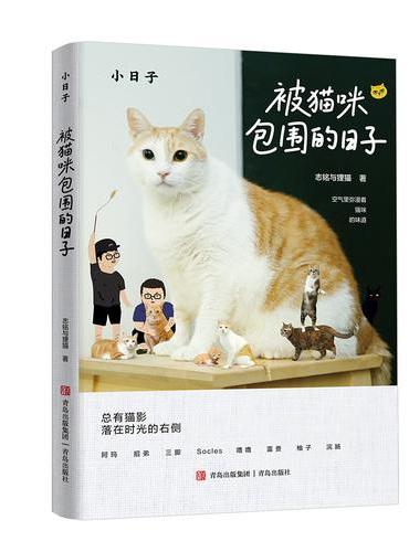 被猫咪包围的日子 坐拥百万粉丝的猫咪届真网红“黄阿玛”和小伙伴的可爱日常 所有猫奴人