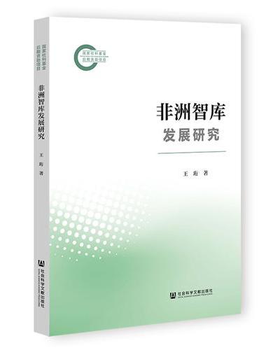 非洲智库发展研究