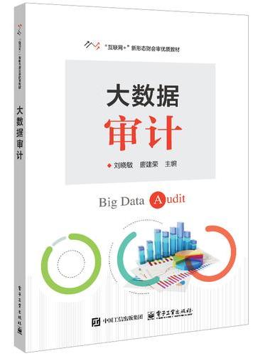 大数据审计