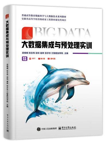 大数据集成与预处理实训