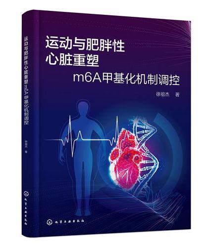 运动与肥胖性心脏重塑：m6A 甲基化机制调控