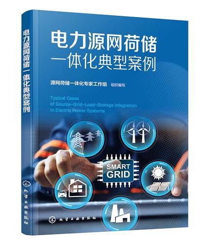 电力源网荷储一体化典型案例