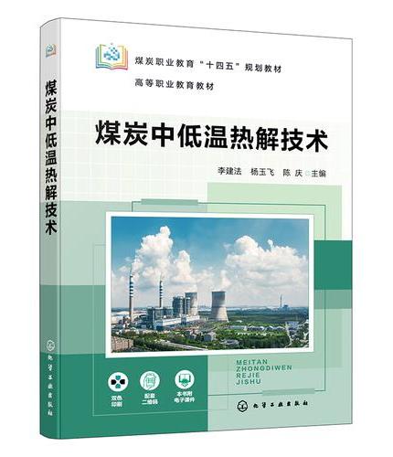 煤炭中低温热解技术（李建法）