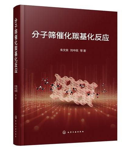 分子筛催化羰基化反应