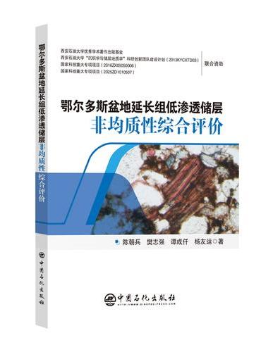 鄂尔多斯盆地延长组低渗透储层非均质性综合评价