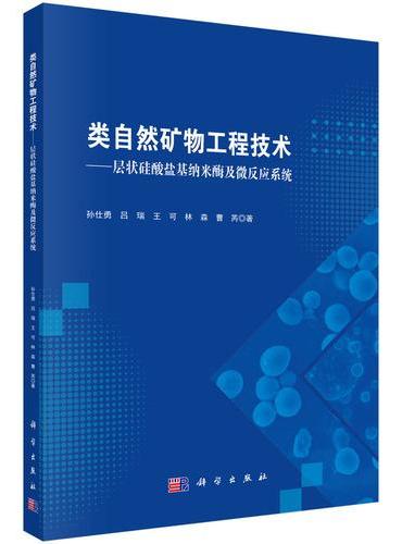 类自然矿物工程技术——层状硅酸盐基纳米酶及微反应系统