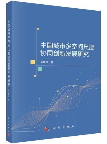 中国城市多空间尺度协同创新发展研究