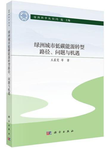绿洲城市低碳能源转型路径、问题与机遇