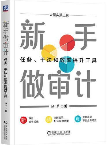 新手做审计：任务、干法和效率提升工具