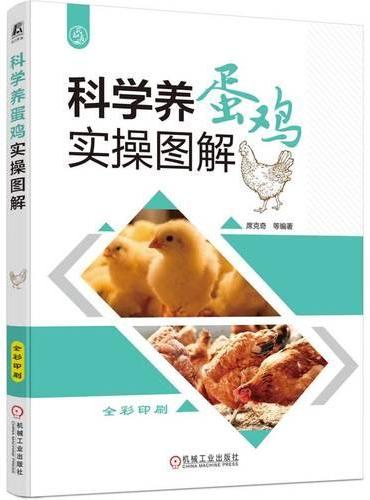 科学养蛋鸡实操图解
