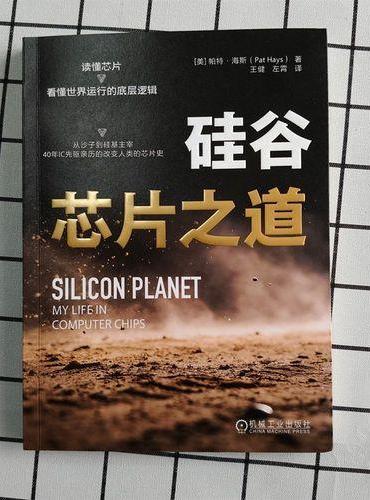 硅谷芯片之道