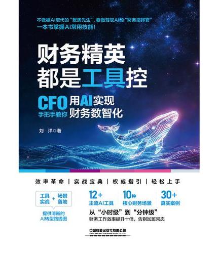 财务精英都是工具控：CFO手把手教你用AI实现财务数智化