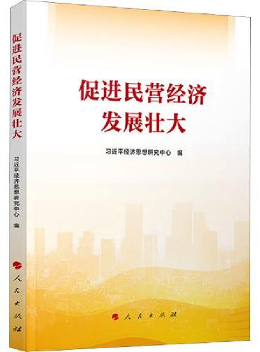 促进民营经济发展壮大