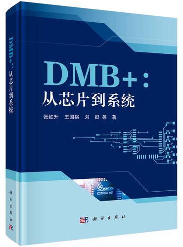 DMB+：从芯片到系统