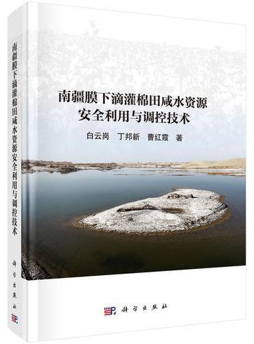 南疆膜下滴灌棉田咸水资源安全利用与调控技术