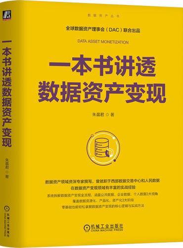 一本书讲透数据资产变现  朱晨君
