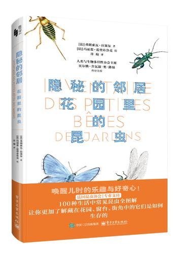 隐秘的邻居 花园里的昆虫