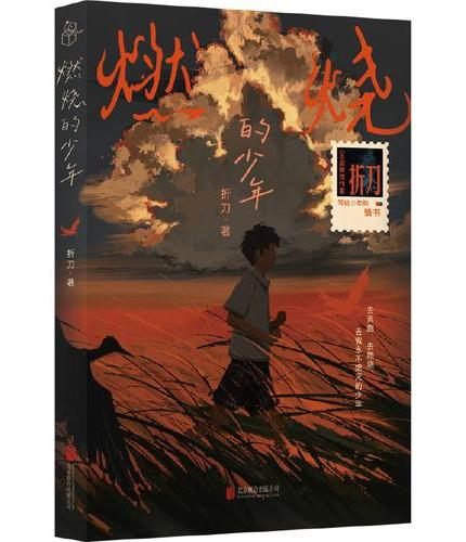 燃烧的少年00后新锐作家 