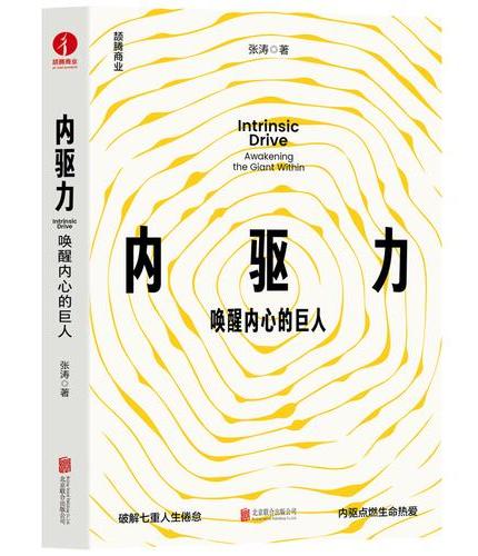 内驱力：唤醒内心的巨人 新生代 青少年成长 自我提升 重塑成长 重构认知