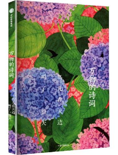 万物的诗词：鸟儿在天边叫了一整天