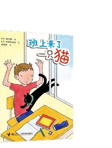 班上来了一只猫