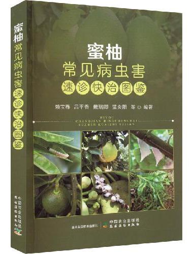 蜜柚常见病虫害速诊快治图鉴