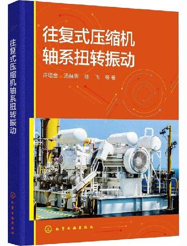 往复式压缩机轴系扭转振动（许增金）