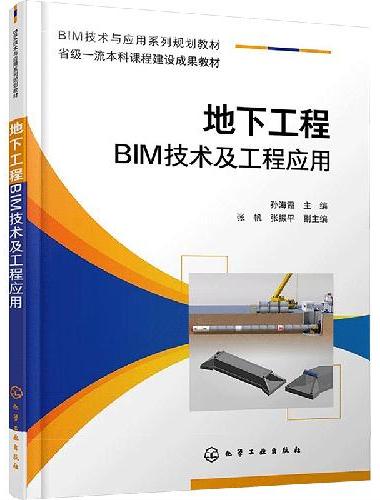 地下工程BIM技术及工程应用（孙海霞 ）