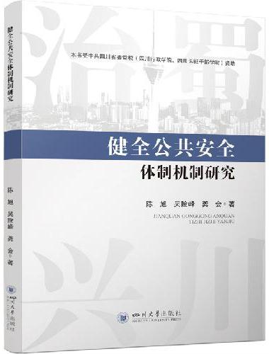健全公共安全体制机制研究