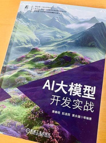 AI大模型开发实战