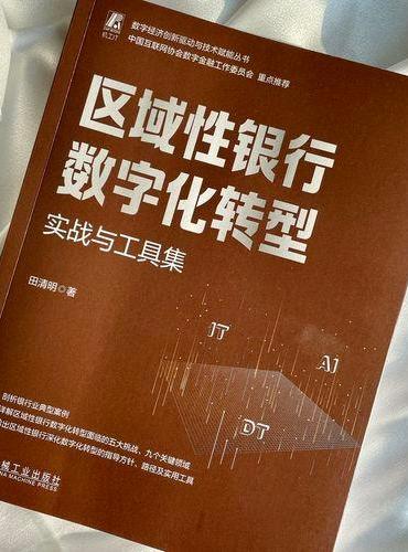 区域性银行数字化转型：实战与工具集