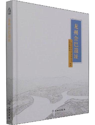 龙州舍巴遗址