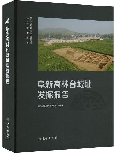 阜新高林台城址发掘报告
