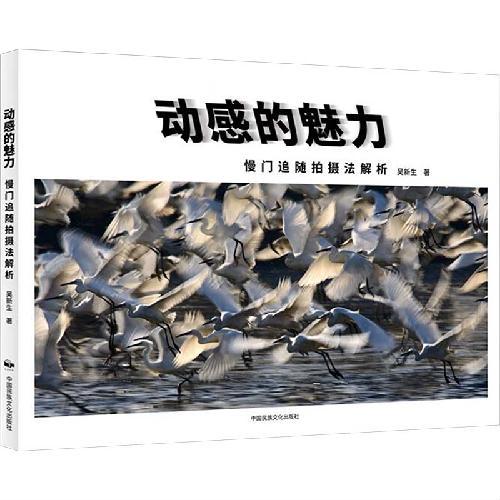 动感的魅力：慢门追随拍摄法解析