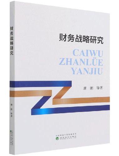 财务战略研究