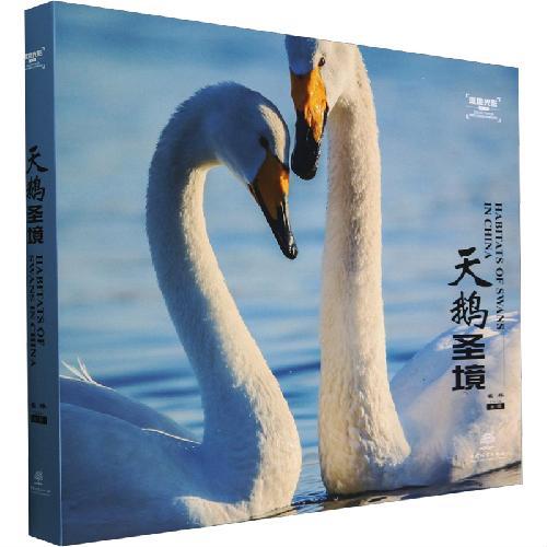 天鹅圣境（精）/湿地光影丛书