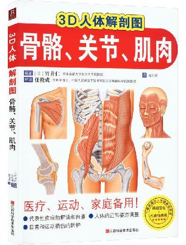 3D人体解剖图：骨骼、关节、肌肉