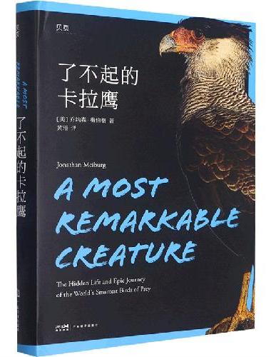 【贝页】了不起的卡拉鹰