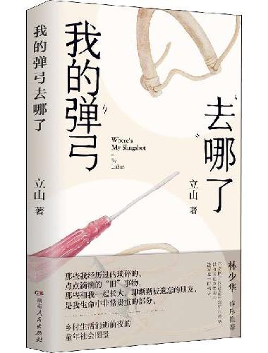 我的弹弓去哪了（一本以10种童年流行玩具为线索，讲述童年记忆，带你重温乡村生活消逝前
