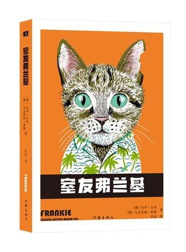 室友弗兰基 这个冬天 温暖你的那只猫——弗兰基