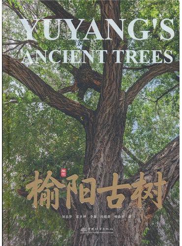 榆阳古树（精）