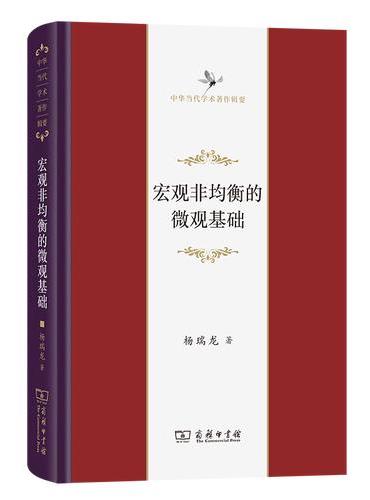 宏观非均衡的微观基础
