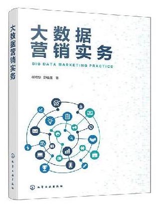 大数据营销实务