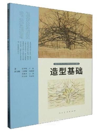 中国高校艺术专业技能与实践系列教材 造型基础