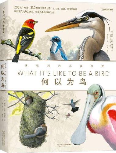 何以为鸟：西布利的鸟类世界