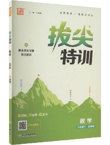 25春小学拔尖特训 数学6年级下·北师版 通成城学典